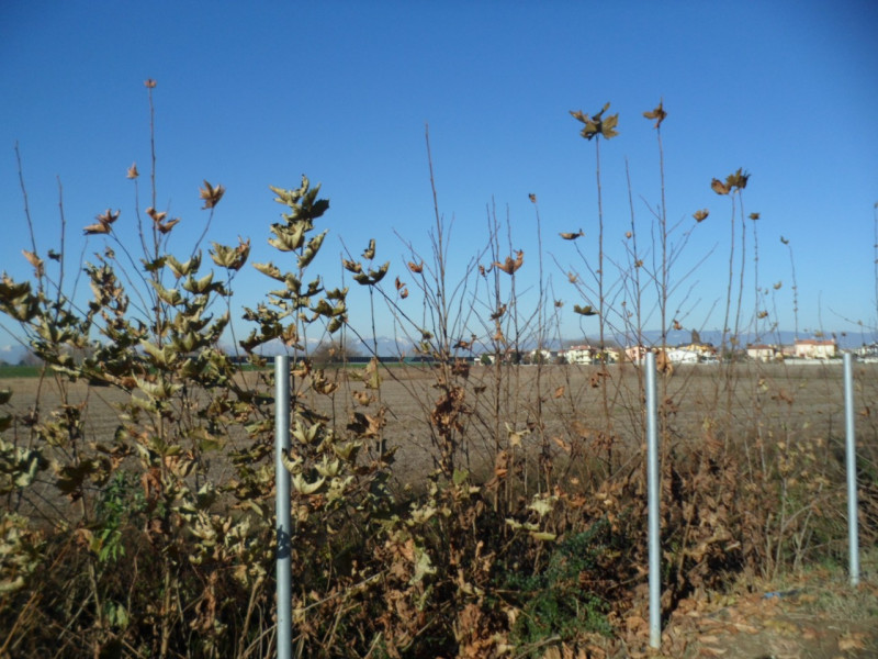 Immagine 11 di Terreno in vendita  in via alture a Torri Di Quartesolo