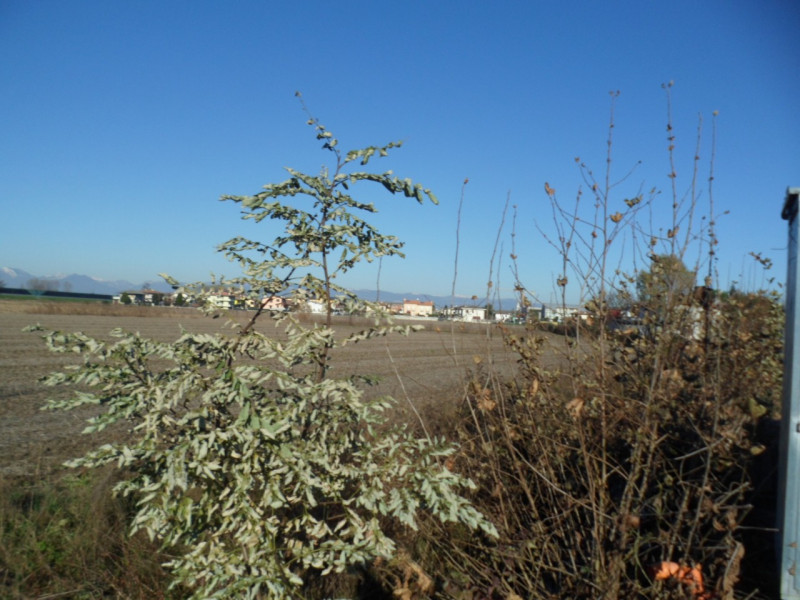 Immagine 12 di Terreno in vendita  in via alture a Torri Di Quartesolo