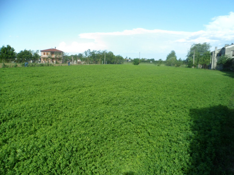 Immagine 14 di Terreno in vendita  in via alture a Torri Di Quartesolo