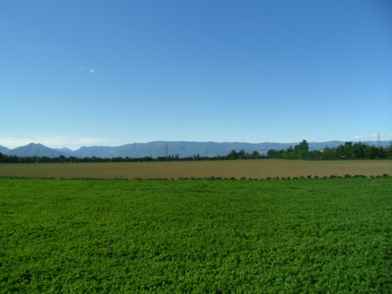 Immagine 15 di Terreno in vendita  in via alture a Torri Di Quartesolo