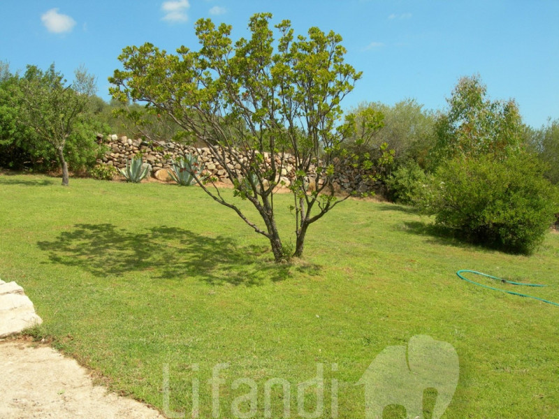 Immagine 3 di Villa in vendita  a Arzachena