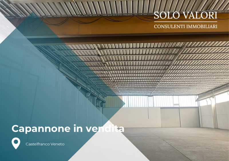 Immagine 2 di Capannone industriale in vendita  a Castelfranco Veneto