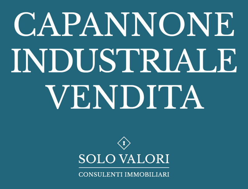 Immagine 3 di Capannone industriale in vendita  a Castelfranco Veneto