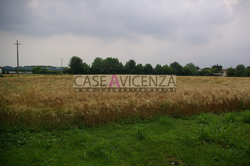 Immagine 6 di Rustico / casale in vendita  in via mazzini a Grisignano Di Zocco