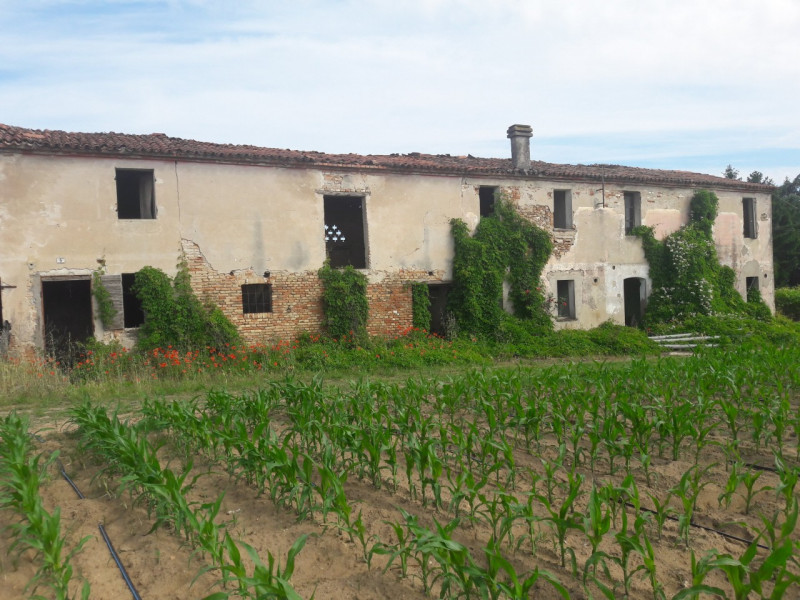 Immagine 2 di Rustico / casale in vendita  in Via Umberto I, 6 a Bovolone