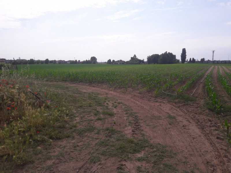 Immagine 5 di Rustico / casale in vendita  in Via Umberto I, 6 a Bovolone