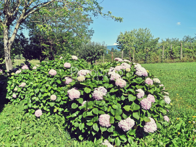 Immagine 14 di Villa in vendita  in Via Foresto Vecchio a Asolo