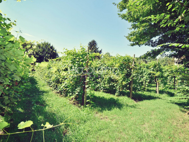 Immagine 33 di Villa in vendita  in Via Foresto Vecchio a Asolo