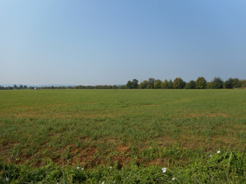 Immagine 3 di Terreno in vendita  in Via pagello a Caldogno