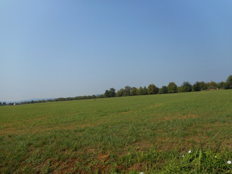 Immagine 4 di Terreno in vendita  in Via pagello a Caldogno