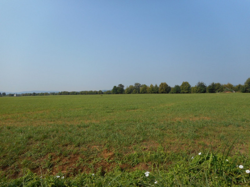 Immagine 7 di Terreno in vendita  in Via pagello a Caldogno