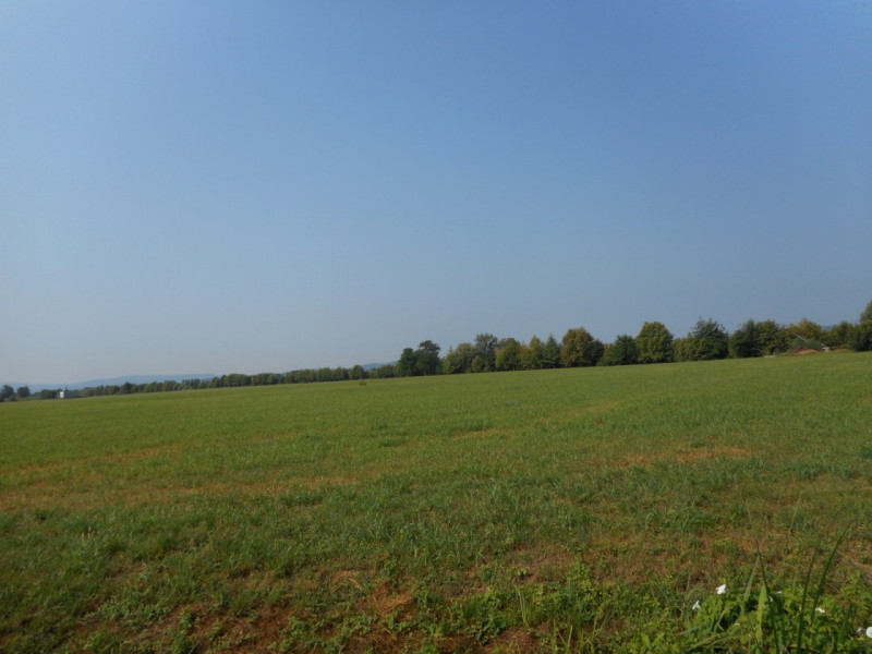 Immagine 8 di Terreno in vendita  in Via pagello a Caldogno