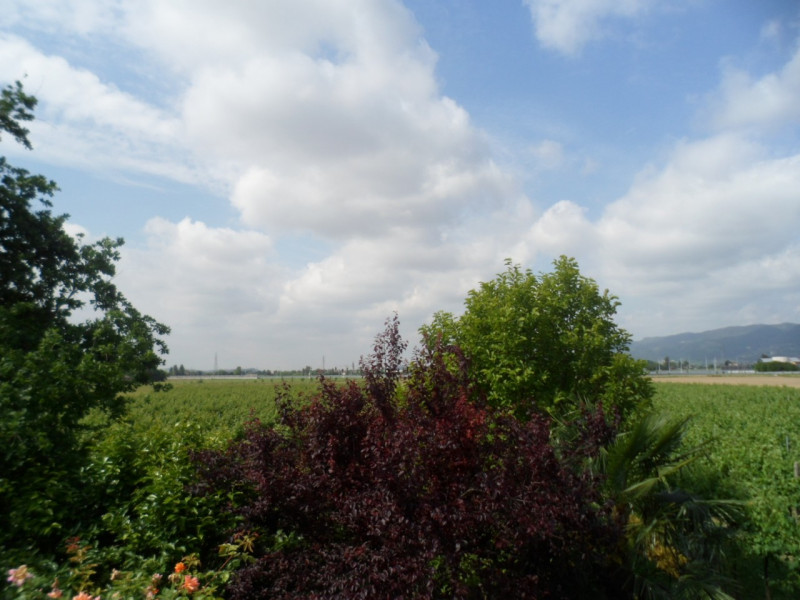 Immagine 10 di Terreno in vendita  in Via pagello a Caldogno