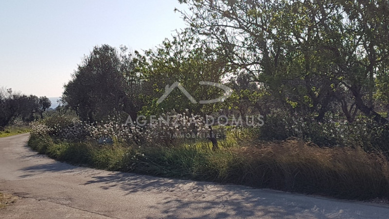 Immagine 2 di Terreno in vendita  a Racale