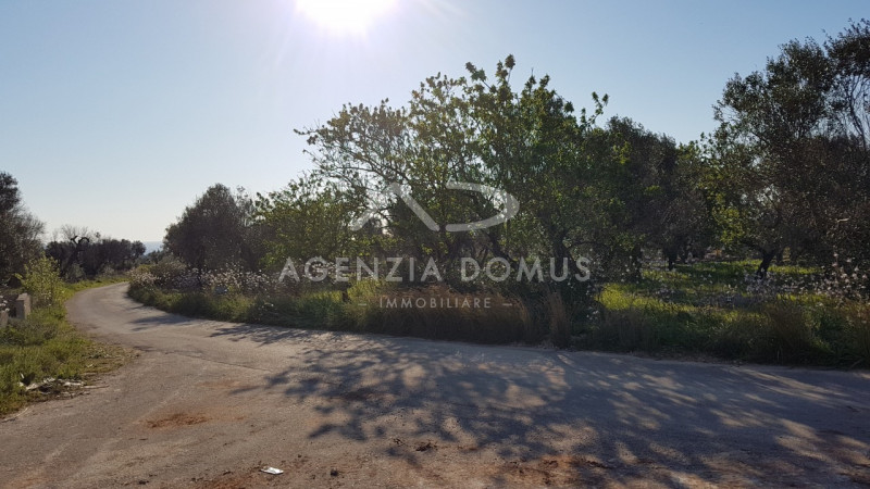 Immagine 3 di Terreno in vendita  a Racale