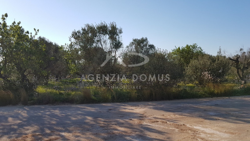 Immagine 4 di Terreno in vendita  a Racale