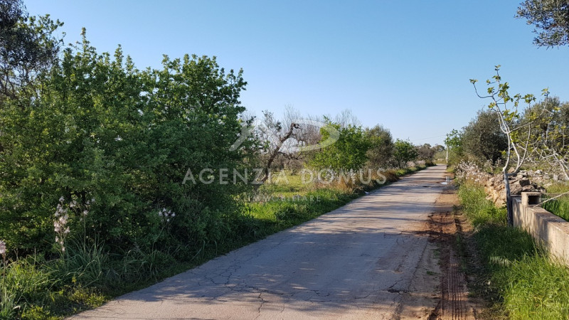 Immagine 15 di Terreno in vendita  a Racale