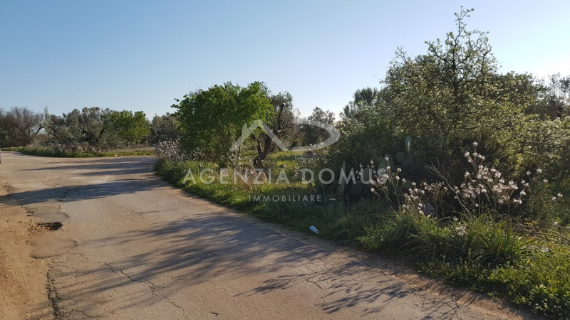 Immagine 16 di Terreno in vendita  a Racale