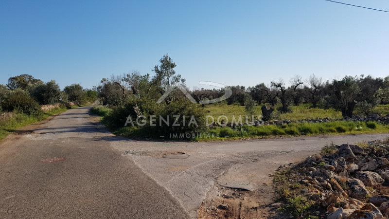 Immagine 17 di Terreno in vendita  a Racale