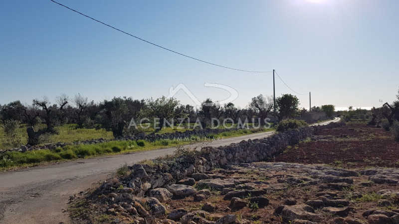 Immagine 18 di Terreno in vendita  a Racale