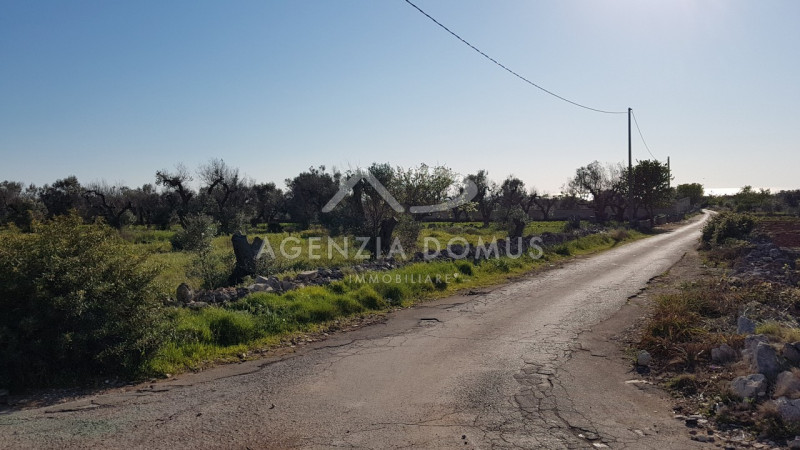 Immagine 19 di Terreno in vendita  a Racale