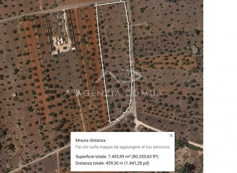 Immagine 22 di Terreno in vendita  a Racale