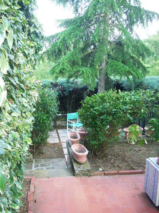 Immagine 5 di Casa indipendente in vendita  in Via Madonnini dei Monti a Trequanda