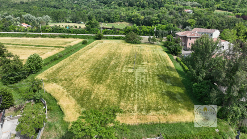 Immagine 3 di Terreno in vendita  in via prossima a Baone