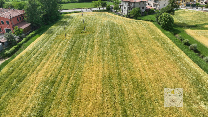 Immagine 4 di Terreno in vendita  in via prossima a Baone