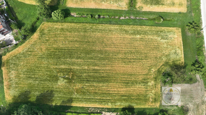 Immagine 5 di Terreno in vendita  in via prossima a Baone