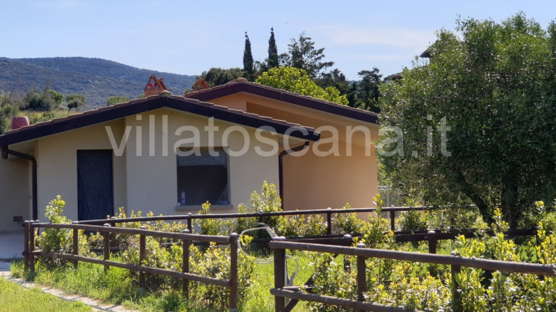 Immagine 3 di Casa bifamiliare in vendita  a Castiglione Della Pescaia