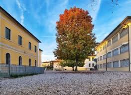 Immagine 10 di Attività commerciale in vendita  in Via Boschi a Resana