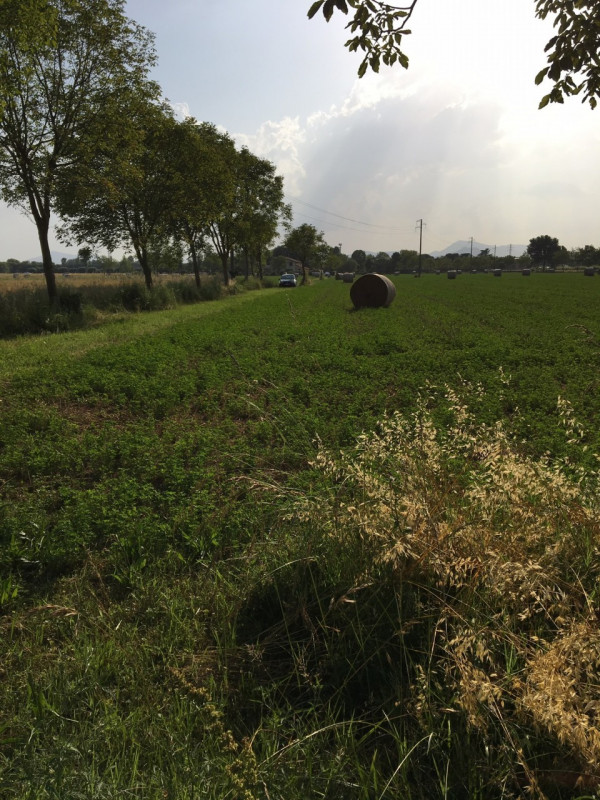 Immagine 2 di Terreno in vendita  in via conselvana a Masera' Di Padova
