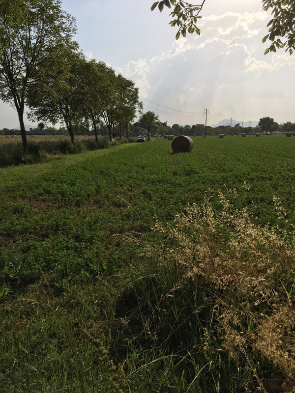 Immagine 3 di Terreno in vendita  in via conselvana a Masera' Di Padova