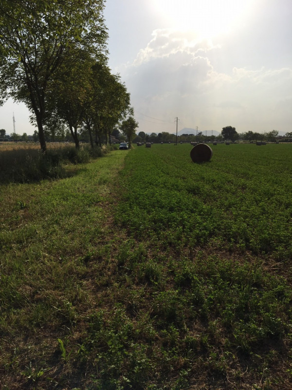 Immagine 6 di Terreno in vendita  in via conselvana a Masera' Di Padova