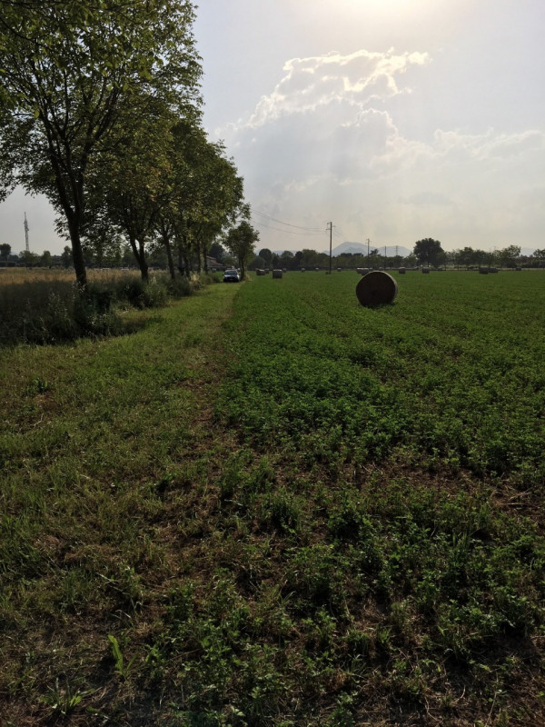 Immagine 7 di Terreno in vendita  in via conselvana a Masera' Di Padova