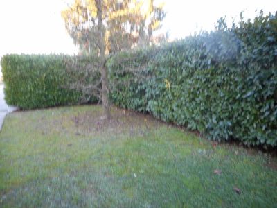 Immagine 13 di Villa in vendita  in via roma a Caldogno