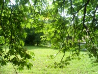 Immagine 20 di Villa in vendita  in via roma a Caldogno