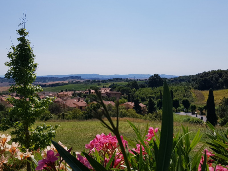 Immagine 57 di Rustico / casale in affitto  in via del Commercio Sud a Casciana Terme Lari