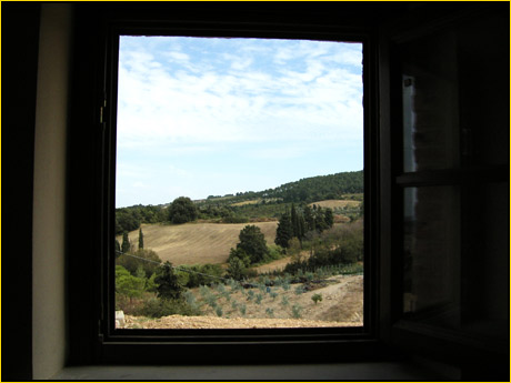 Immagine 67 di Rustico / casale in affitto  in via del Commercio Sud a Casciana Terme Lari