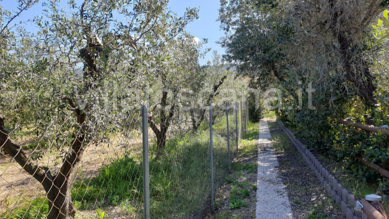 Immagine 2 di Casa bifamiliare in vendita  a Castiglione Della Pescaia