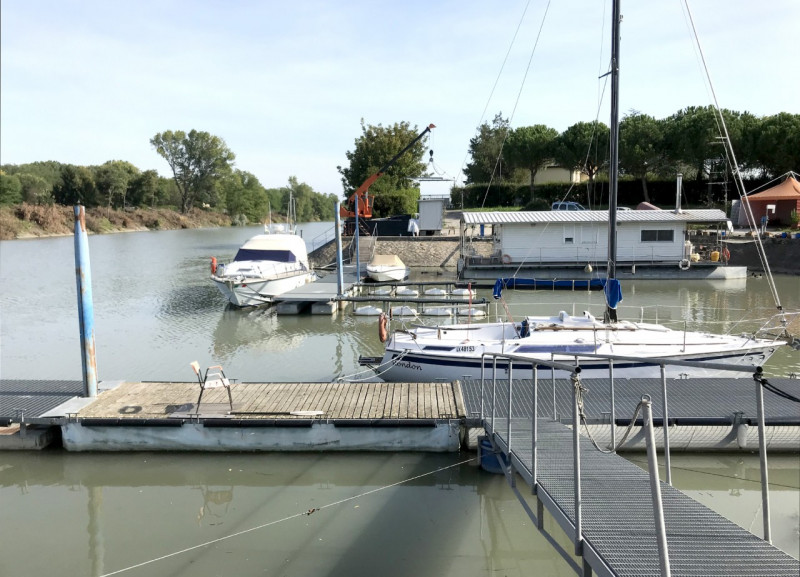 Immagine 3 di Attività commerciale in vendita  a Arqua' Polesine