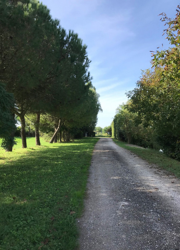 Immagine 4 di Attività commerciale in vendita  a Arqua' Polesine