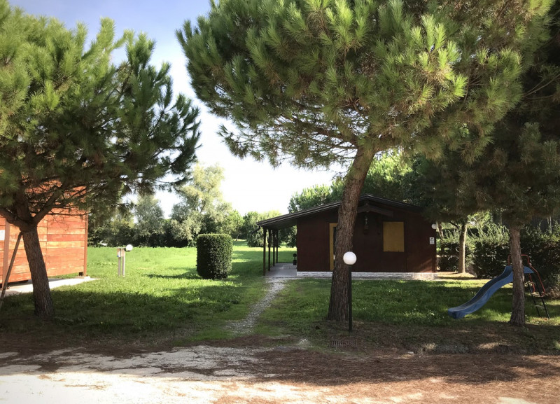 Immagine 5 di Attività commerciale in vendita  a Arqua' Polesine