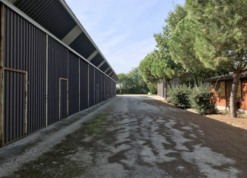 Immagine 9 di Attività commerciale in vendita  a Arqua' Polesine