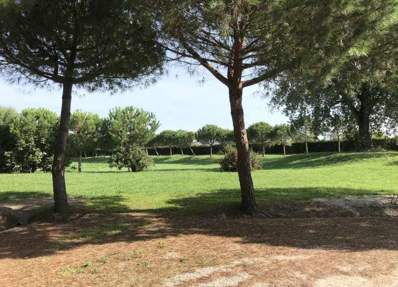 Immagine 12 di Attività commerciale in vendita  a Arqua' Polesine