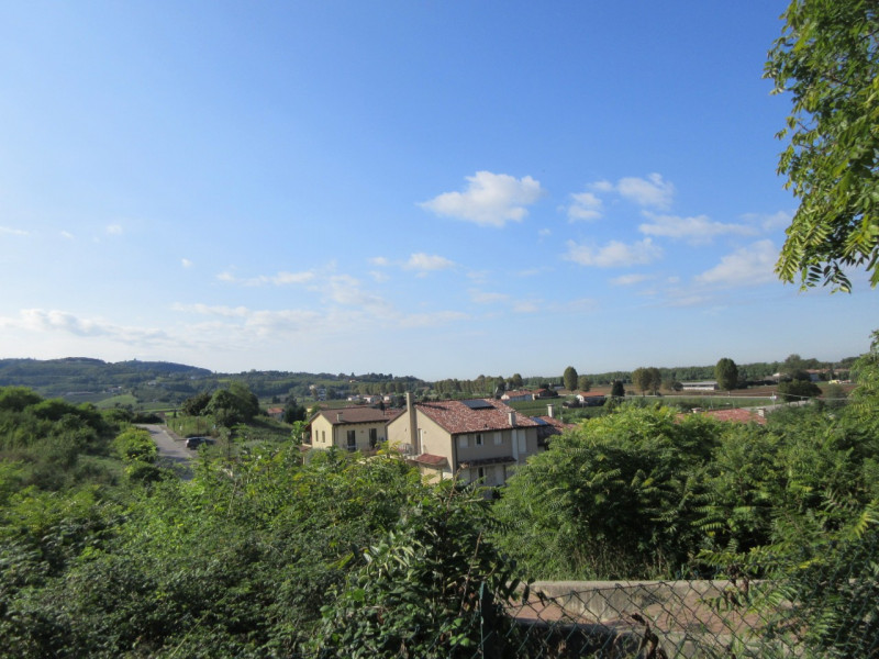 Immagine 2 di Terreno in vendita  a Sarego