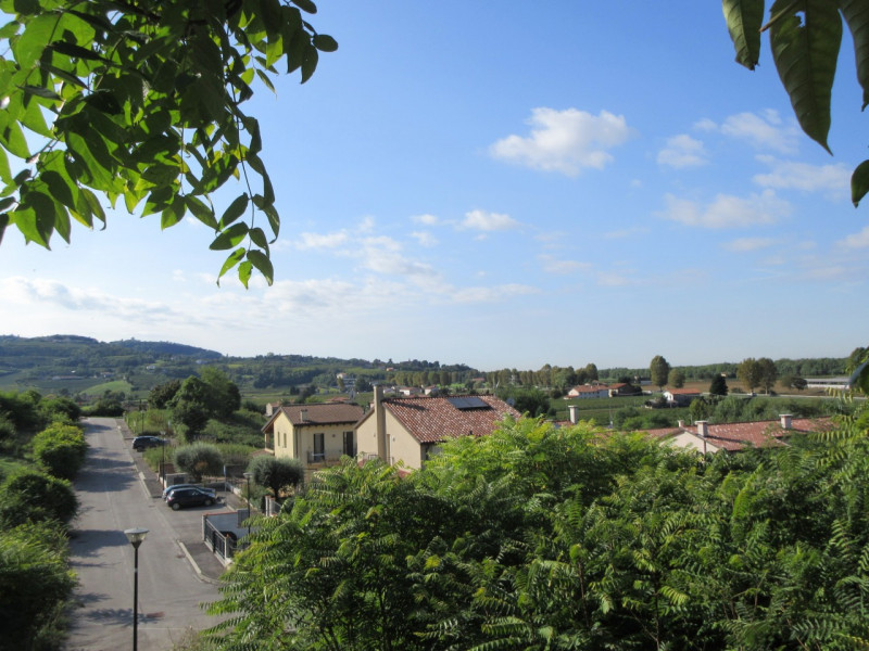 Immagine 3 di Terreno in vendita  a Sarego