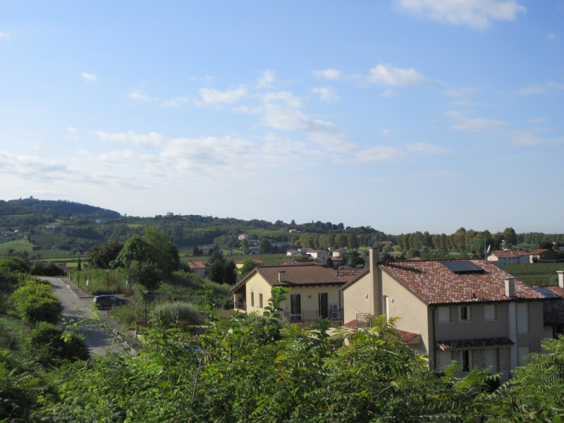 Immagine 4 di Terreno in vendita  a Sarego