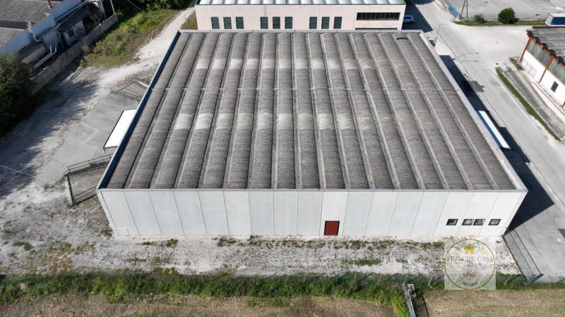 Immagine 6 di Capannone industriale in vendita  in via della scodosia a Casale Di Scodosia